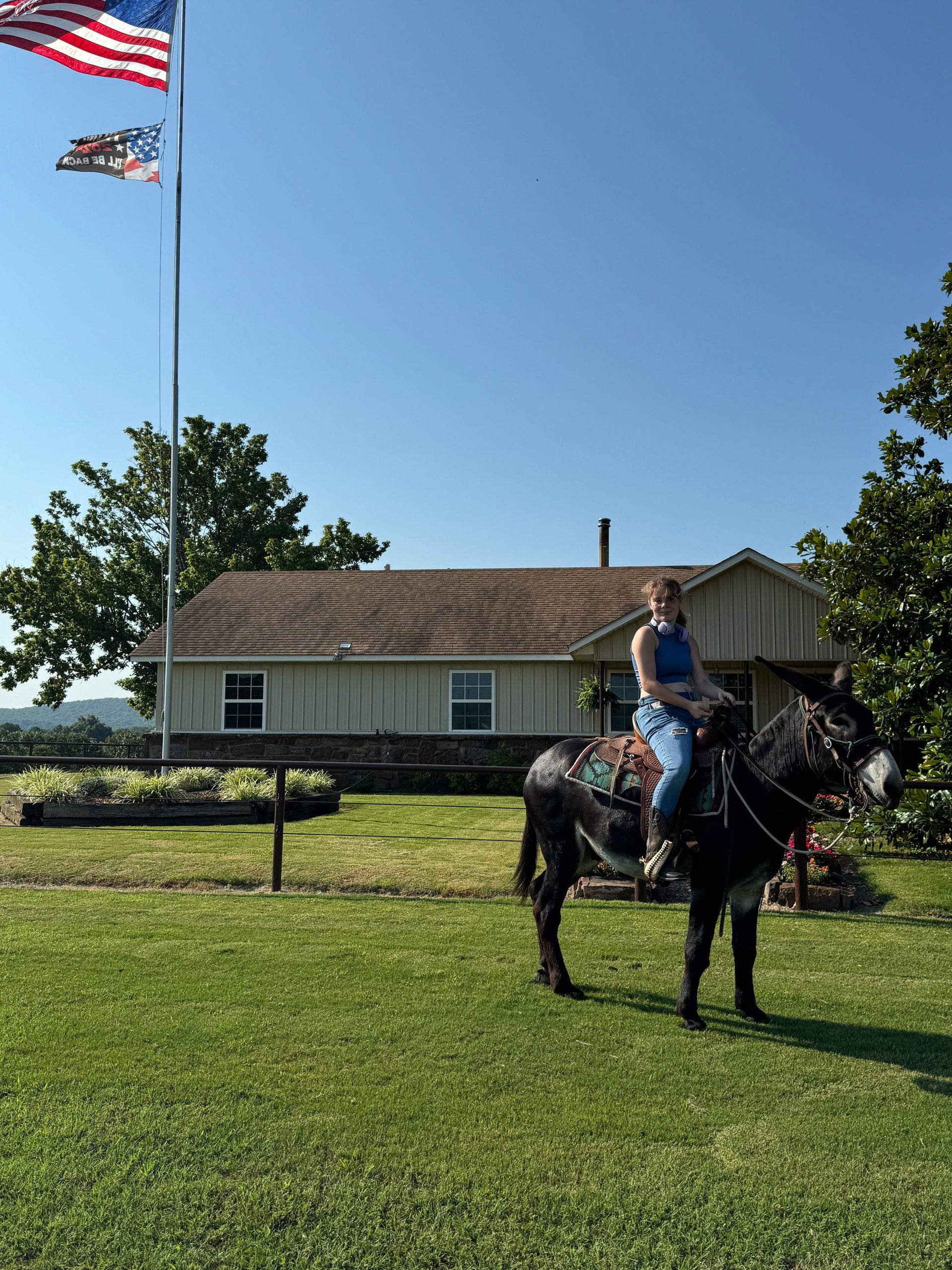 A morning mammoth donkey ride