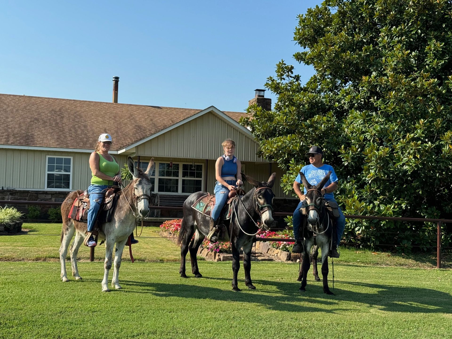 A morning mammoth donkey ride