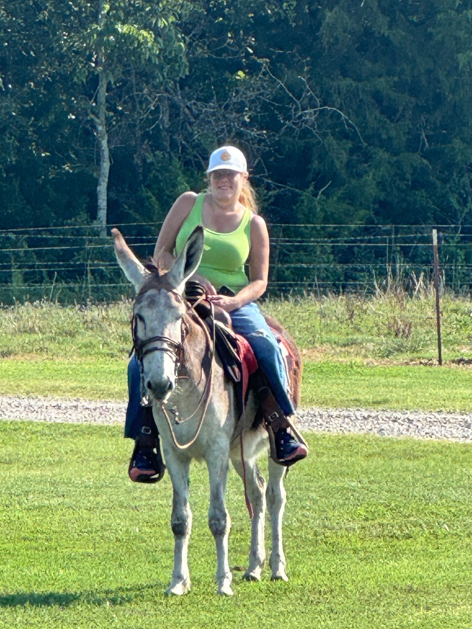 A morning mammoth donkey ride