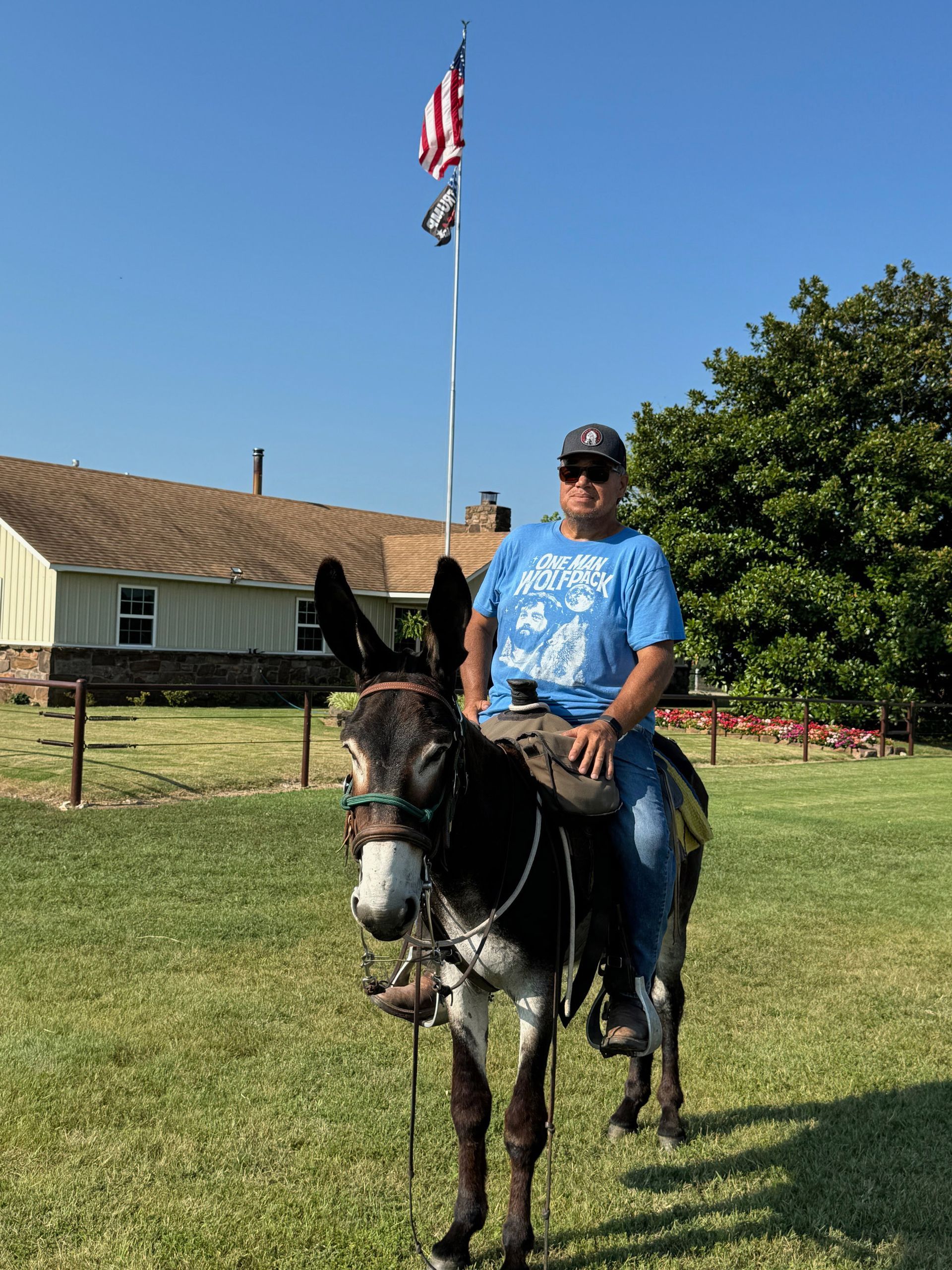 A morning mammoth donkey ride