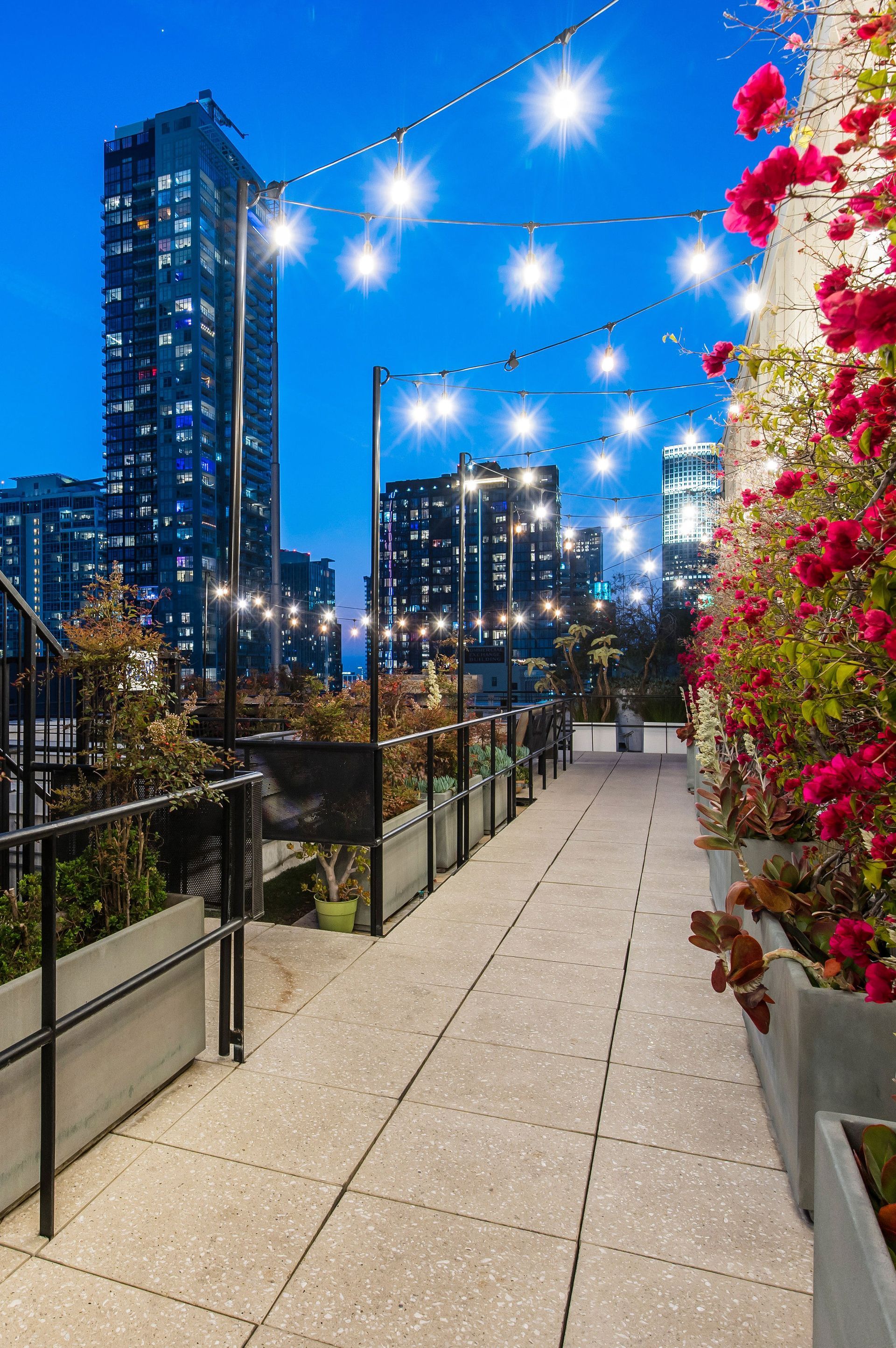 Rooftop view of city