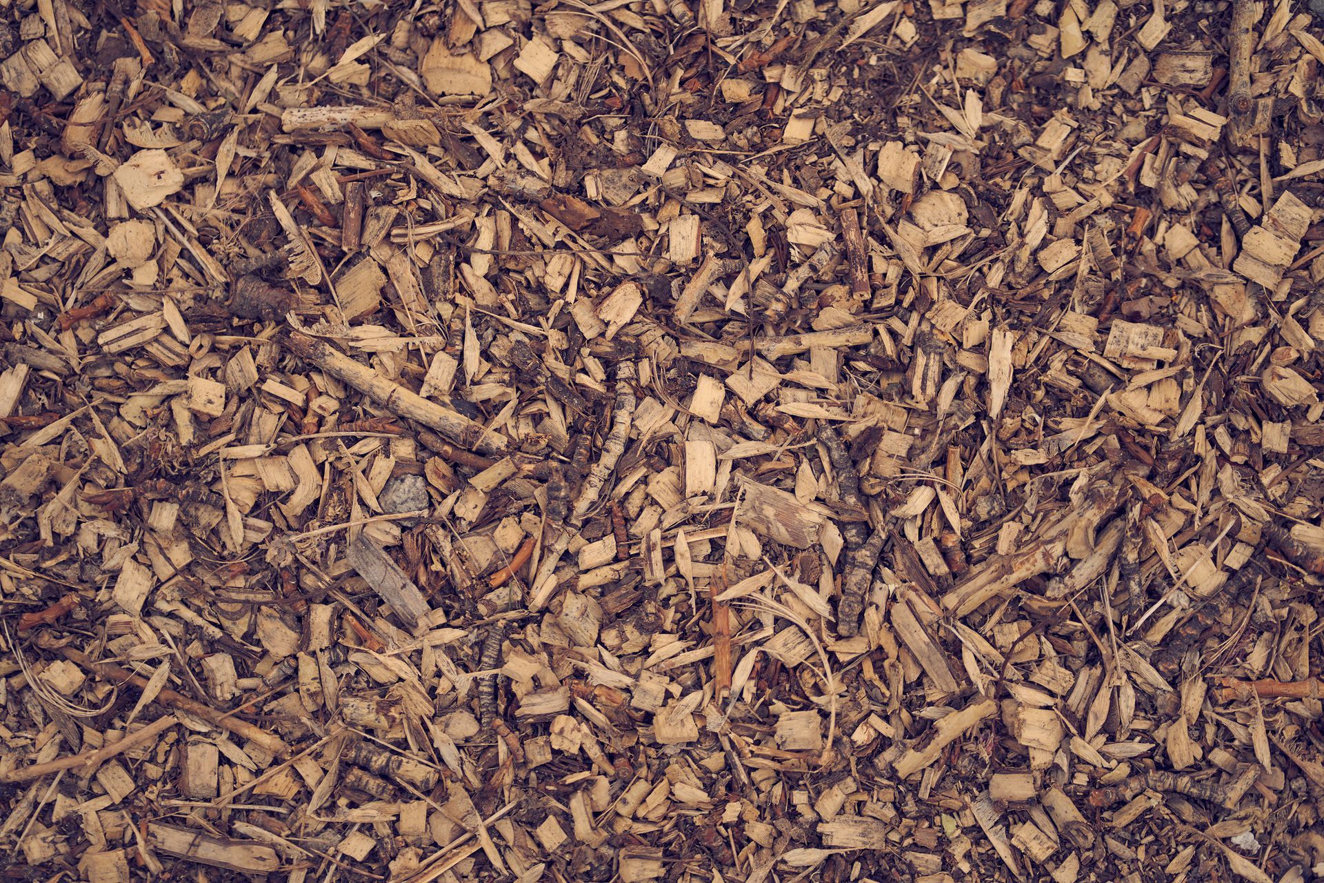 Wood chips, brown and beige, cover the ground.