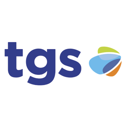 Logotipo de TGS: texto 