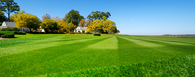 Neat and clean lawn — Lawn care in Rock Springs, WY