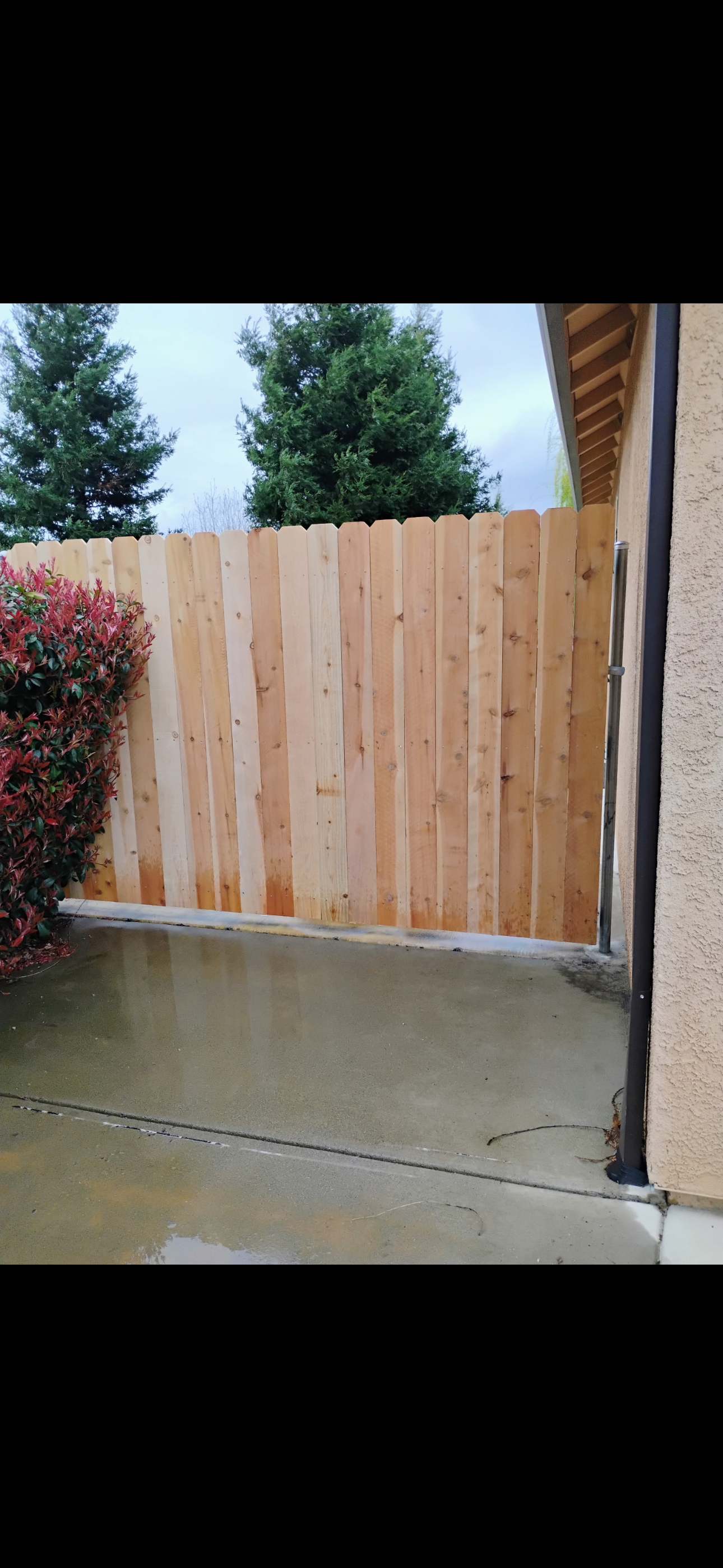Wooden fence in backyard next to a building and some bushes.