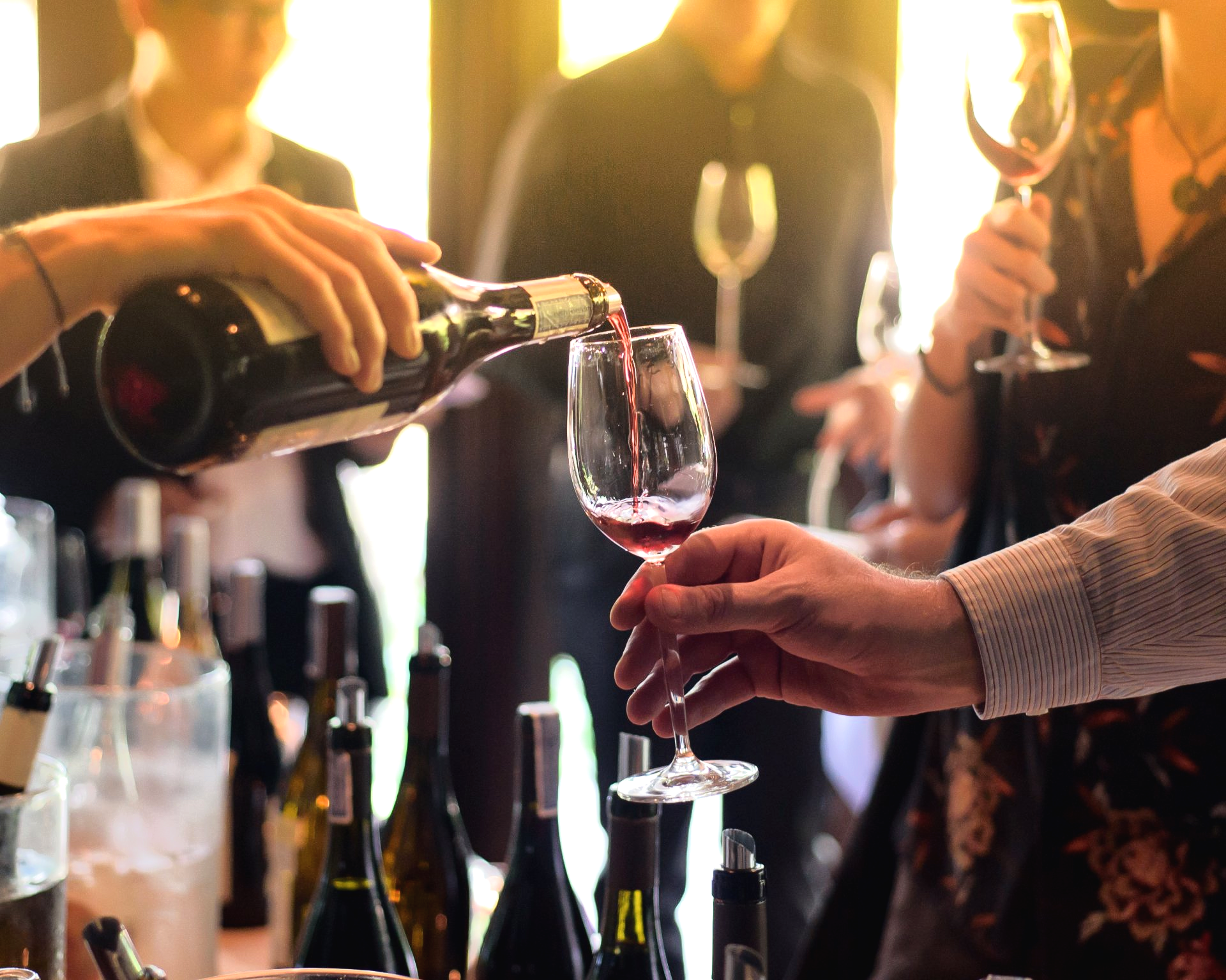 White Laurel Estate, Est. 2019 Events Venue North Georgia