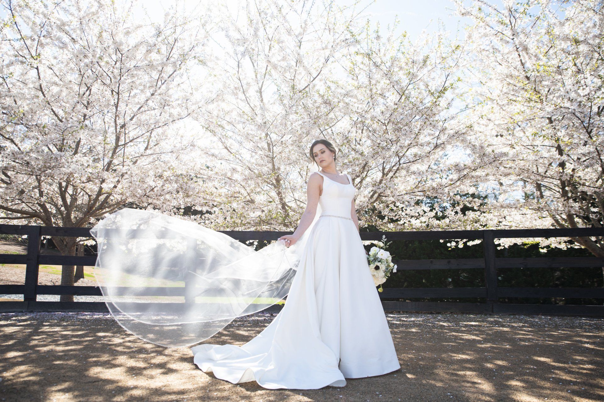 White Laurel Estate, Est. 2019 Wedding Venue North Georgia