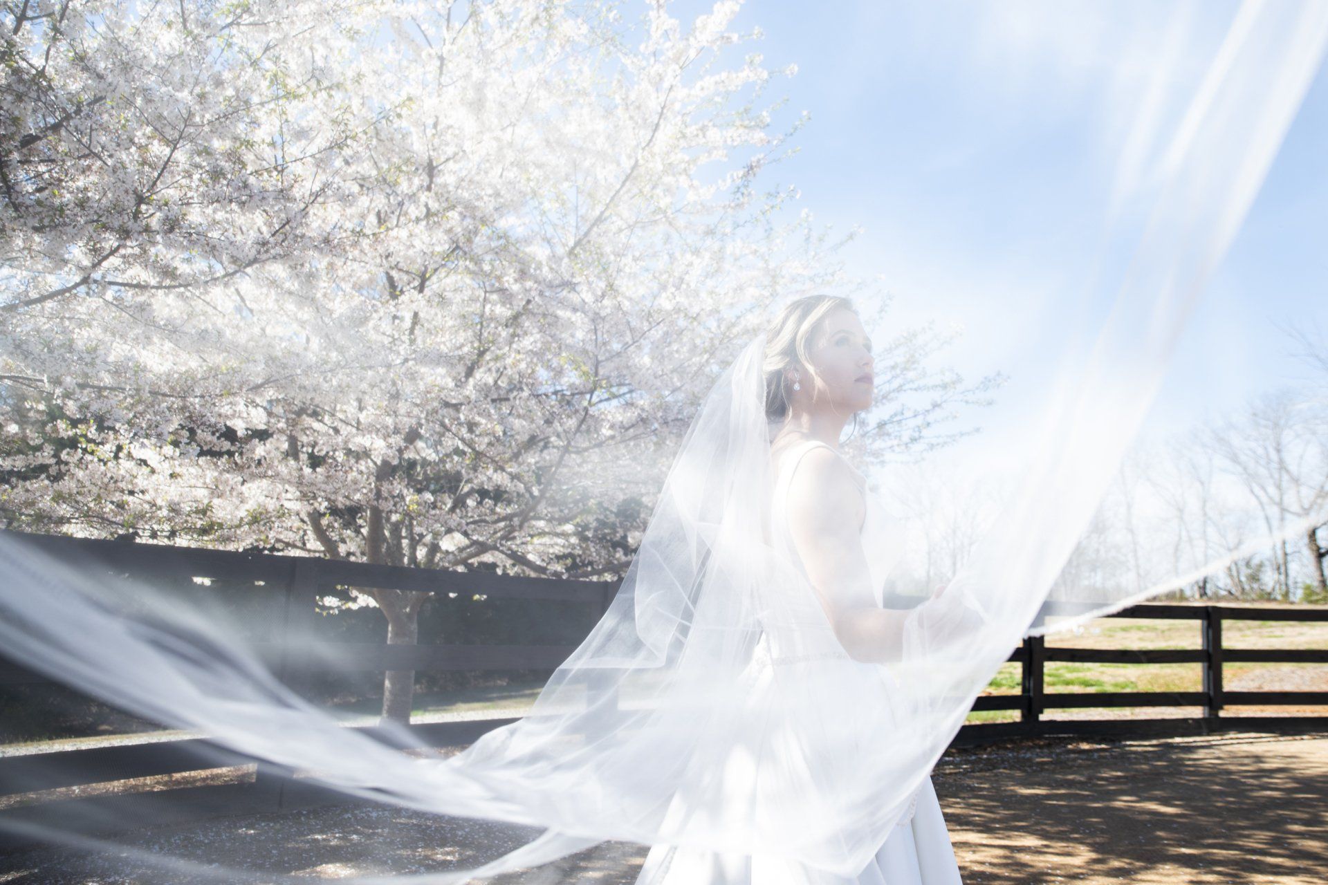 White Laurel Estate, Est. 2019 Wedding Venue North Georgia