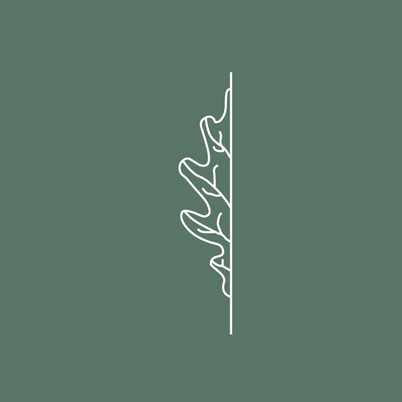 White outline of an oak leaf on the right of a vertical line, against a muted green background.