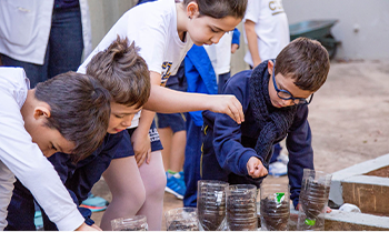 Colégio CLQ | Educação