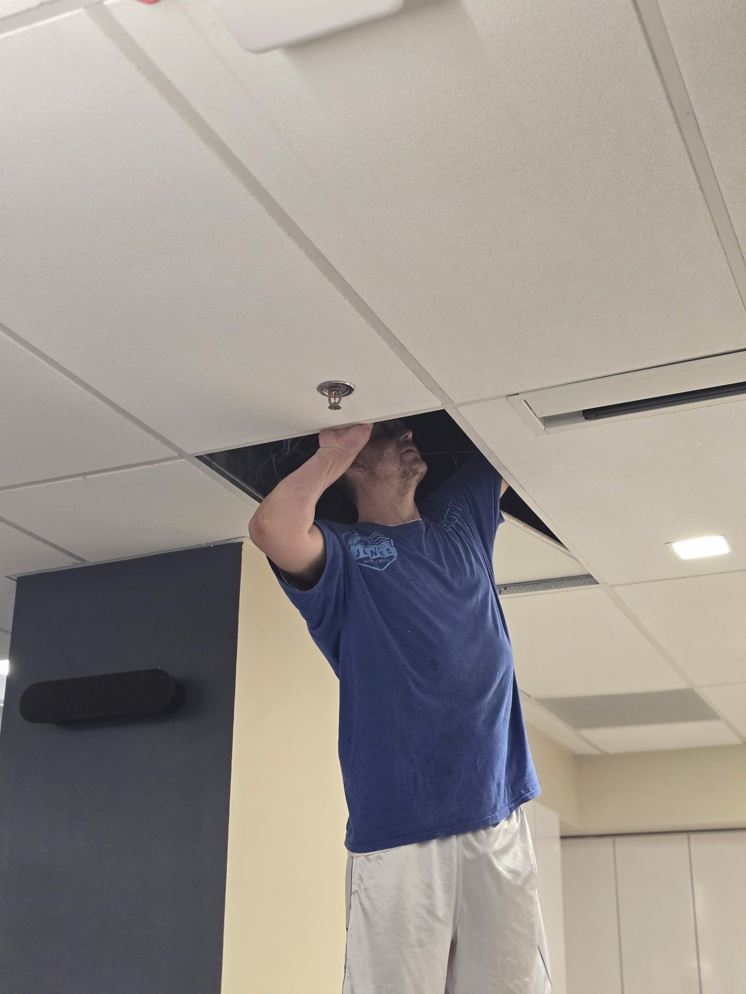 Man in blue shirt, white shorts, working on a suspended ceiling. The ceiling is white.