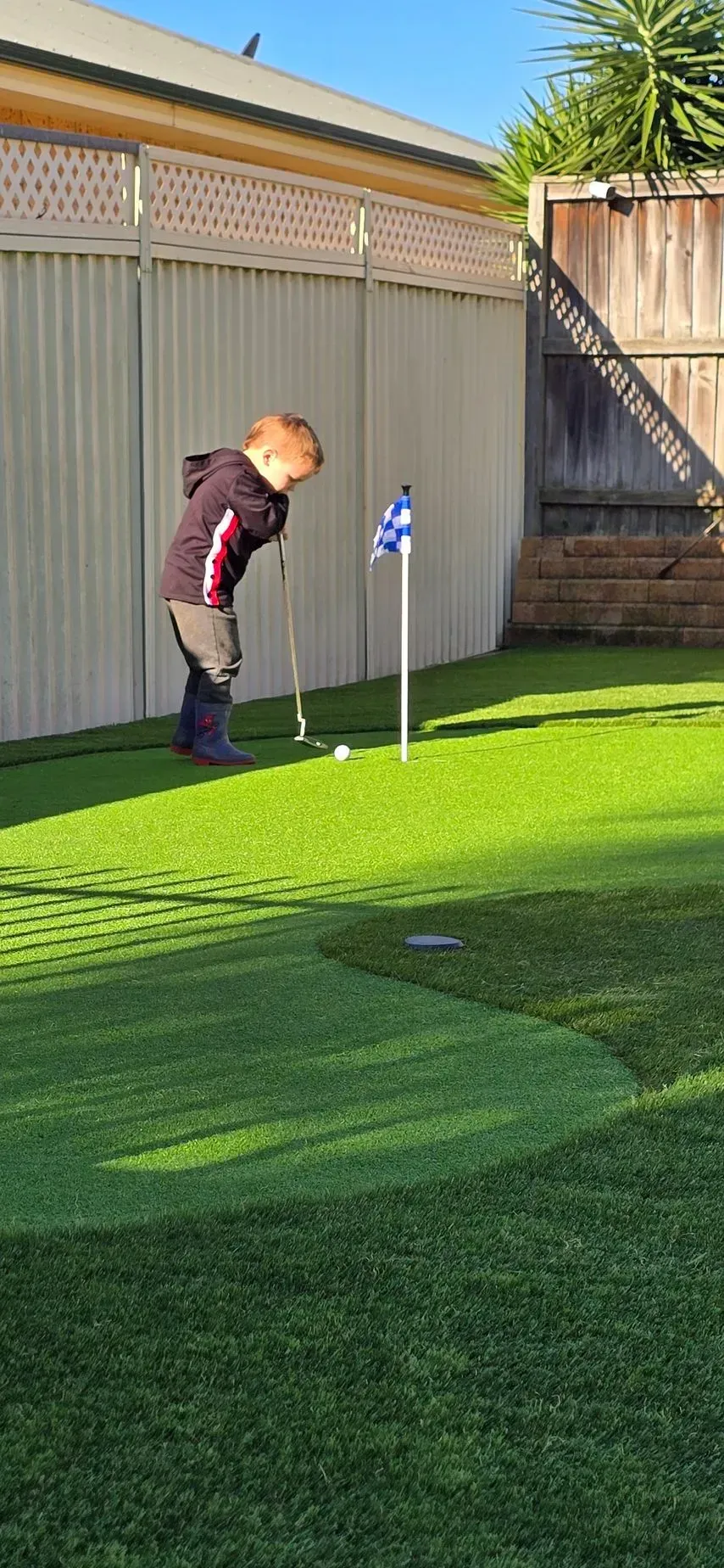 Child putts a golf ball on a green in a backyard. Blue flag in the hole, white fence, and blue sky.