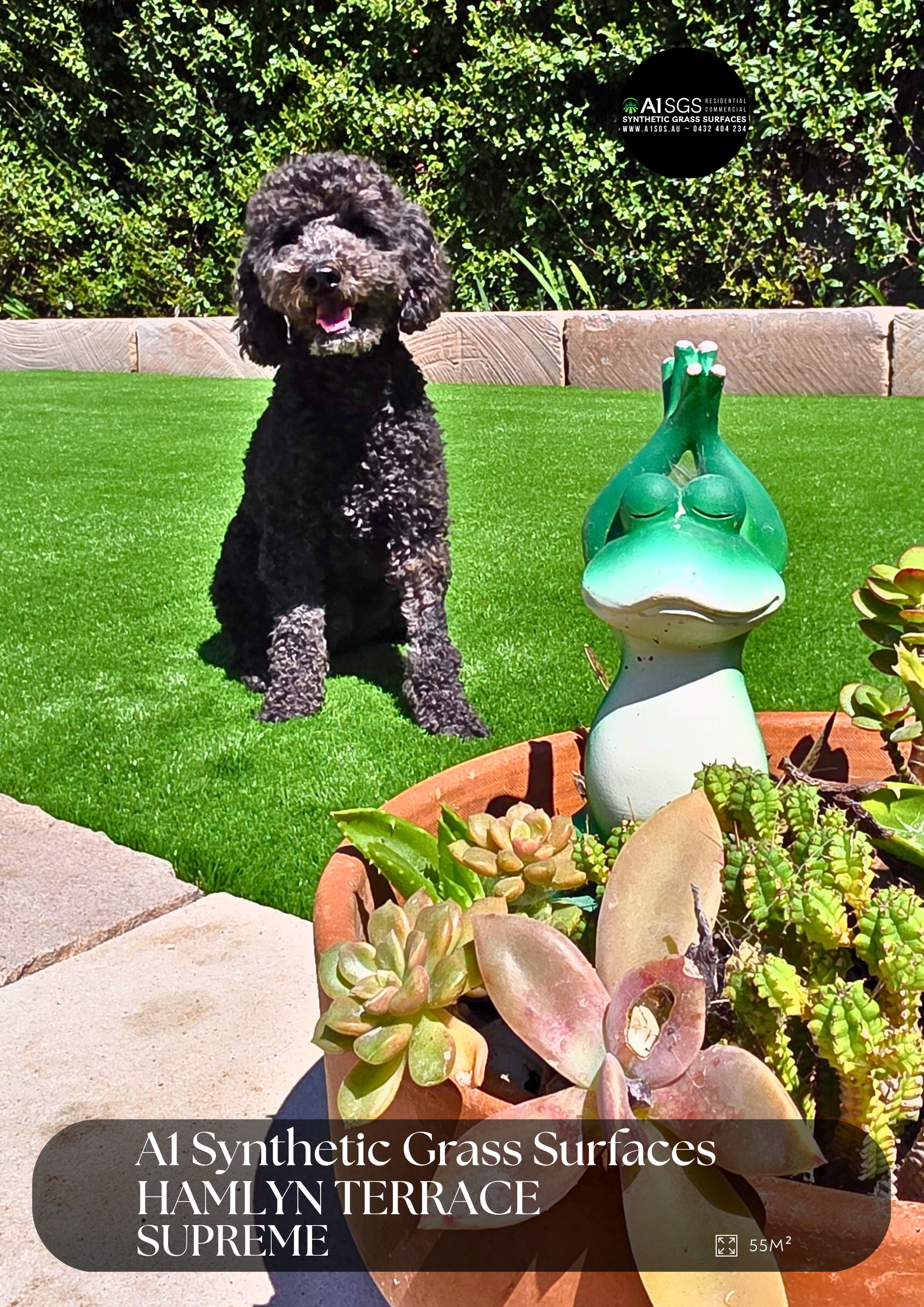 Black dog on bright green lawn beside a green-and-white garden ornament and succulents, with text overlay.