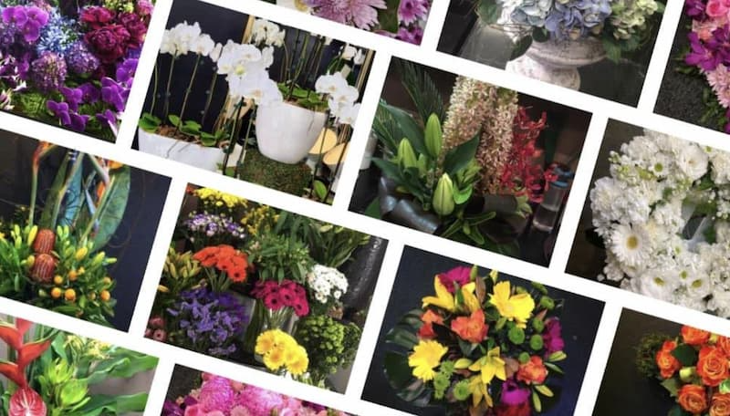 There are many different types of flowers in this collage.
