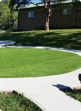 Green lawn with a curving concrete path, a building, and a tree.