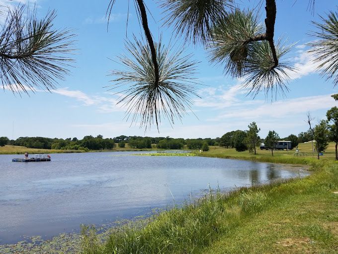 Lakeside view under a blue sky, with pine branches in foreground. Dock on lake, grass and trees along the shore.