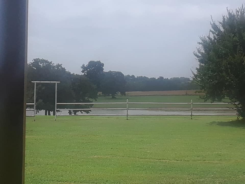 Green field with white fence and trees in background under an overcast sky.