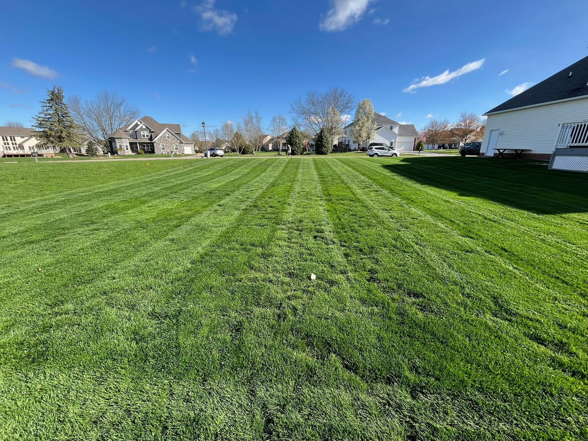 Green lawn with fresh mowing stripes under a bright blue sky, with houses in the background.