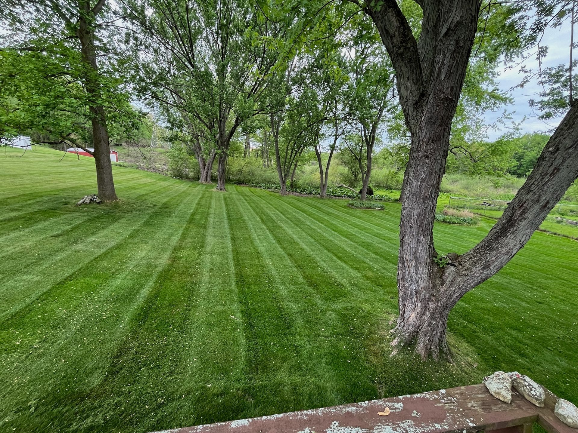 A lush green lawn with trees in the background and a picnic table in the foreground.