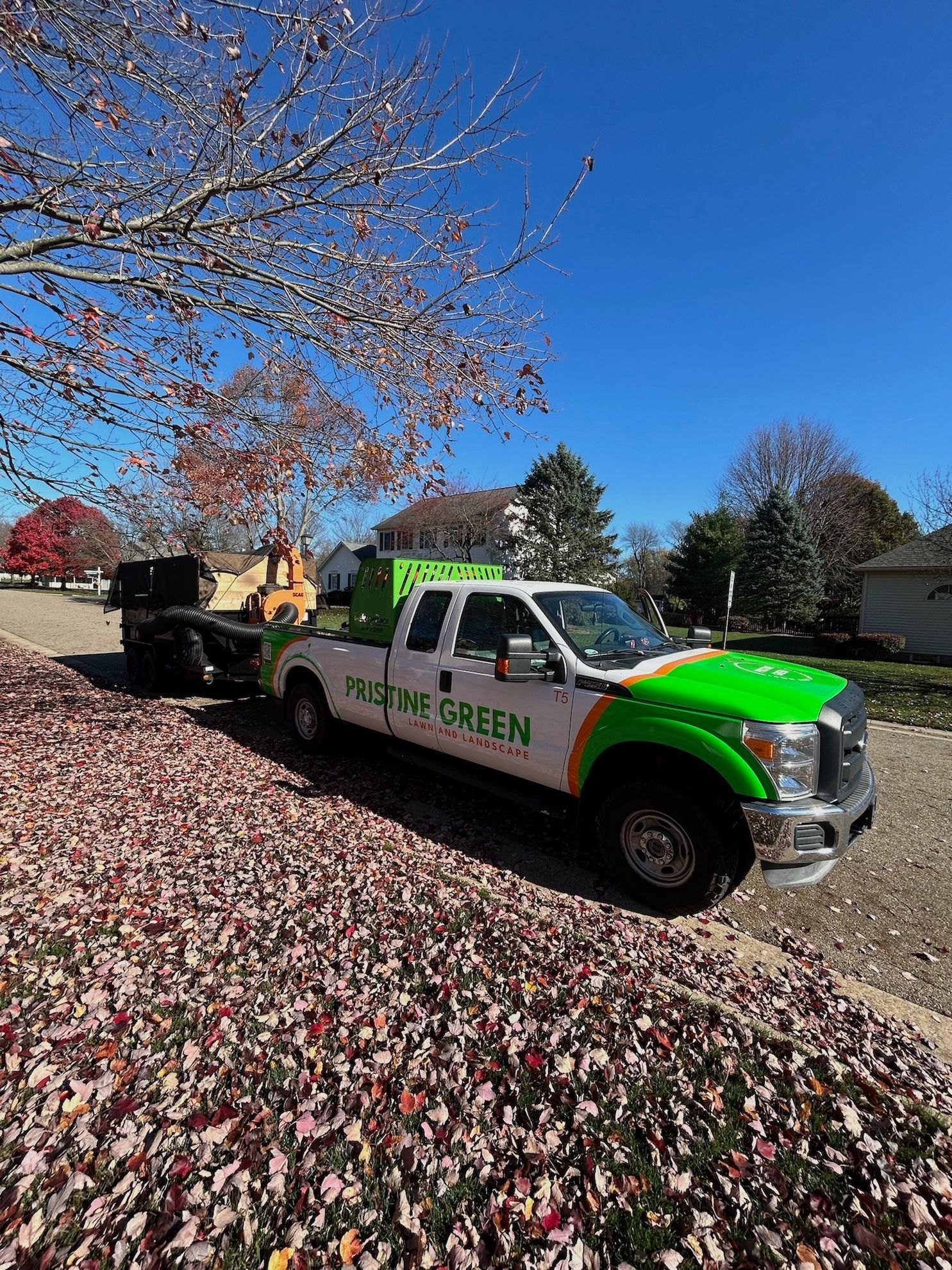 A green and white truck is parked in a driveway covered in leaves.
