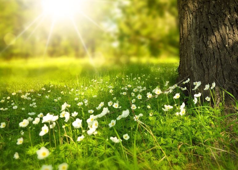 Carmel, IN funeral homes