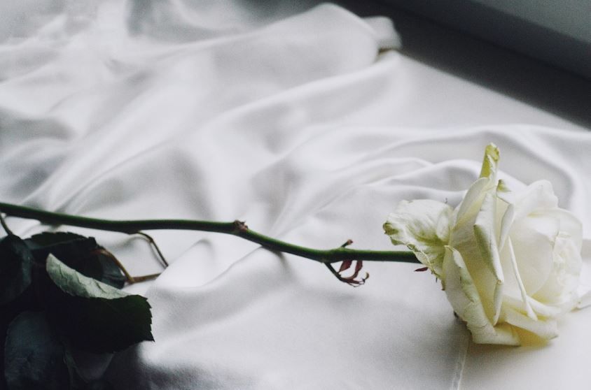 Indianapolis, IN cremations