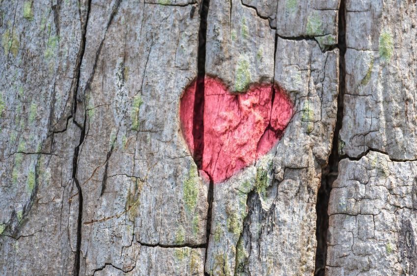 Indianapolis, IN funeral homes