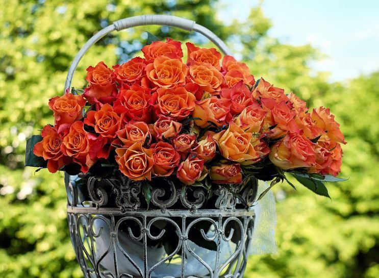 Indianapolis, IN funeral services