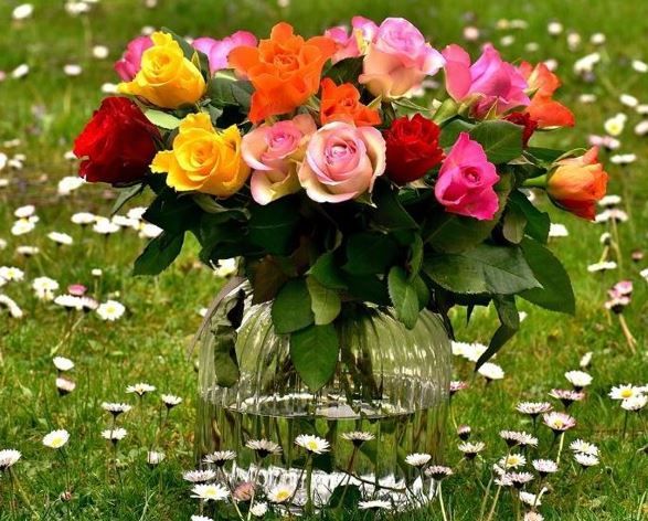 Indianapolis, IN funeral services