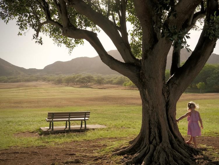 Child by a large tree near bench, permanent memorialization comfort, Zionsville, IN funeral homes