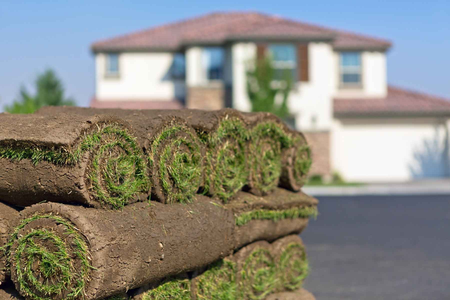 Sod Contractors North Vancouver