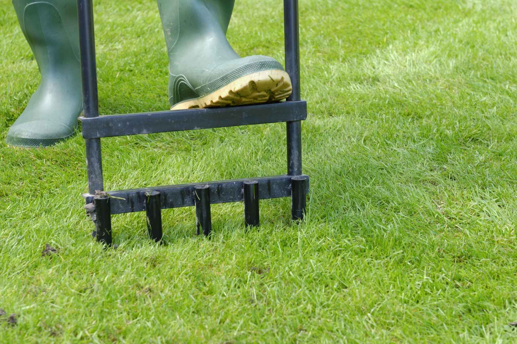 lawn maintenance