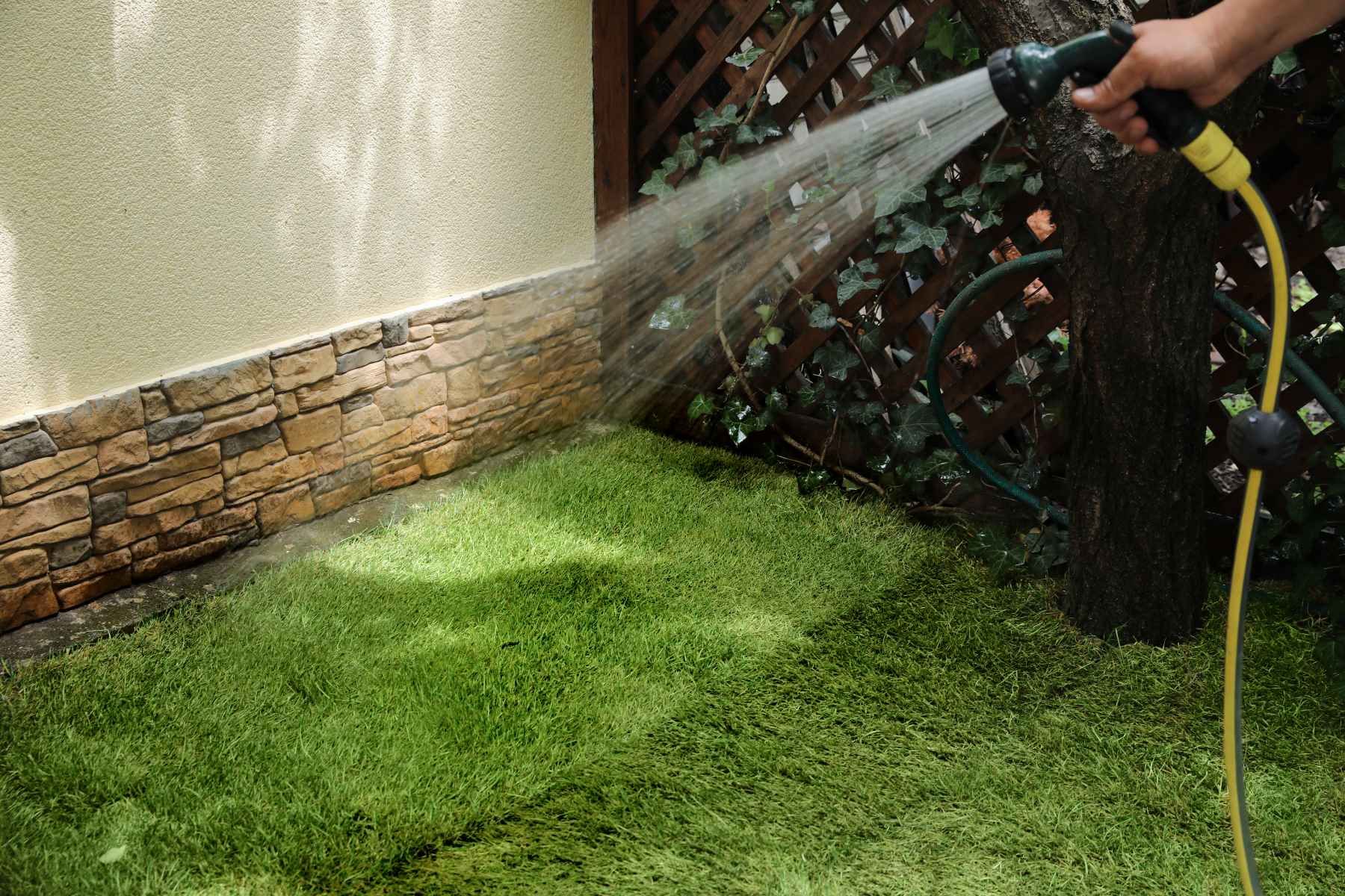 Sod Installation near me