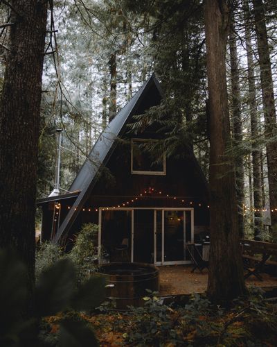 Peaceful and charming cabin in the woods. 