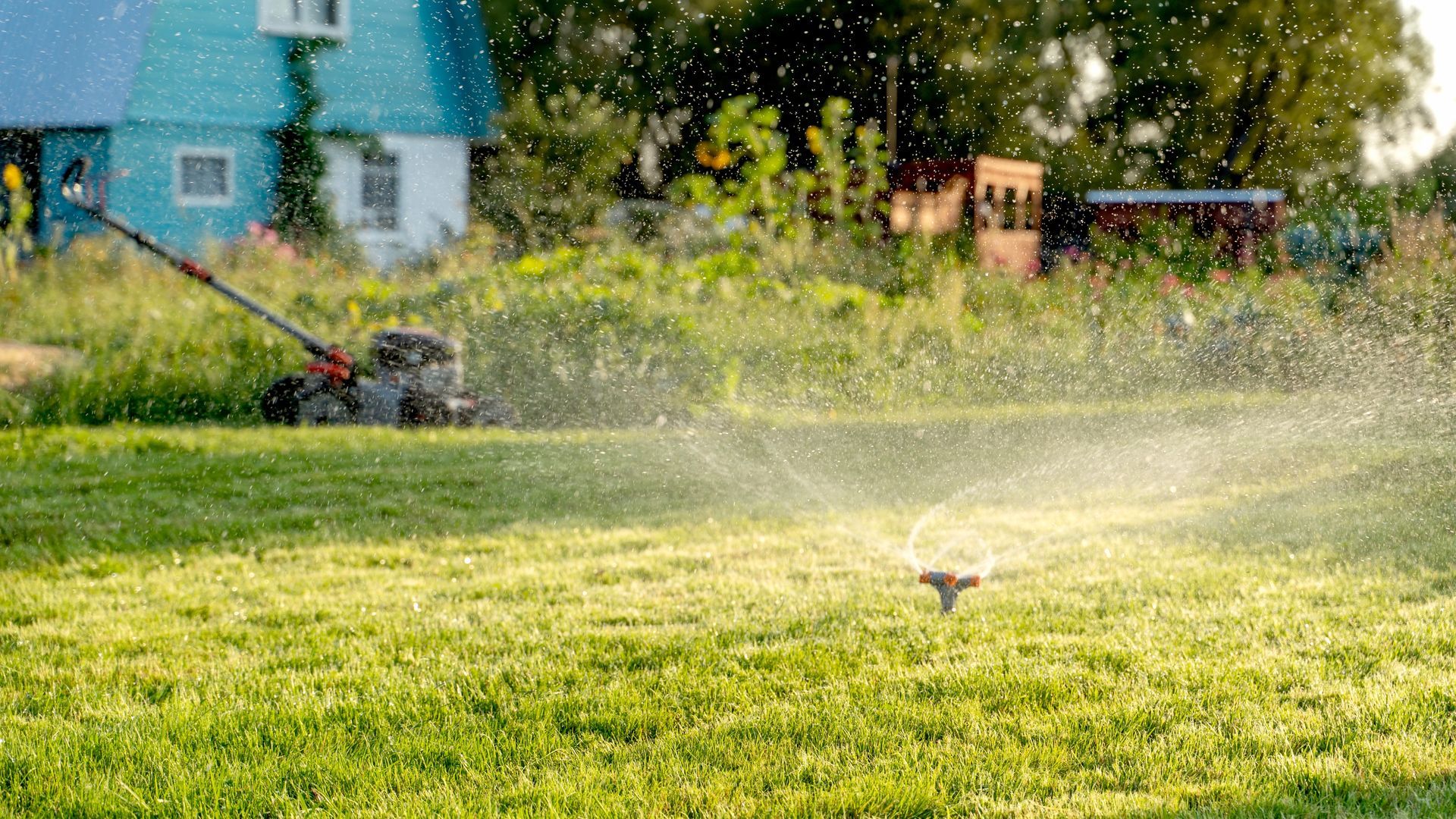 Sprinkler watering a sunny grassy yard, with a blue house in the background.