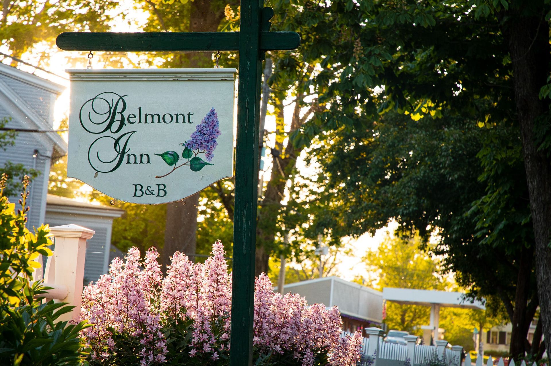 A sign for the belmont inn is surrounded by pink flowers