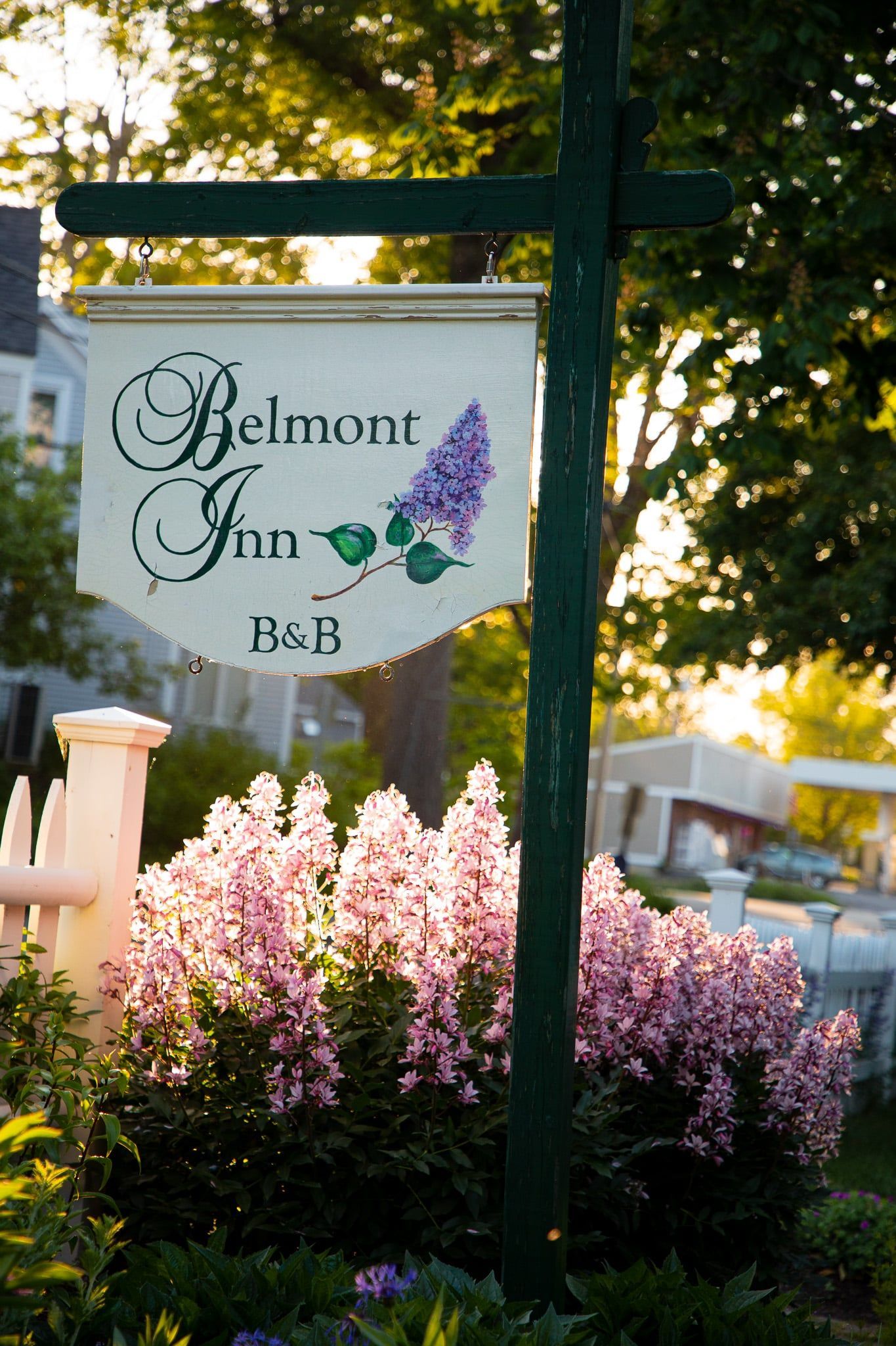 A sign for the belmont inn is surrounded by pink flowers
