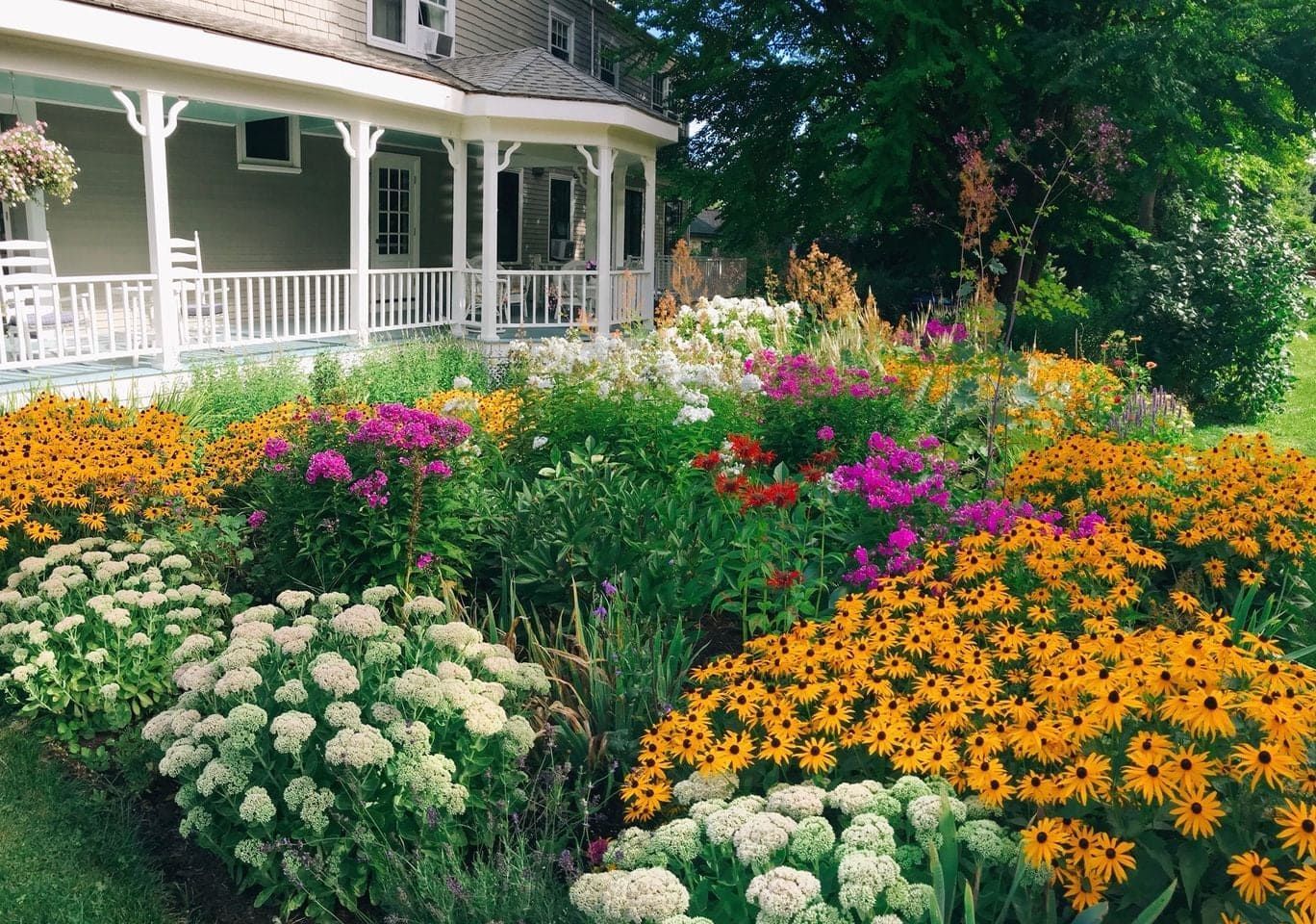 A garden with lots of flowers in front of a house