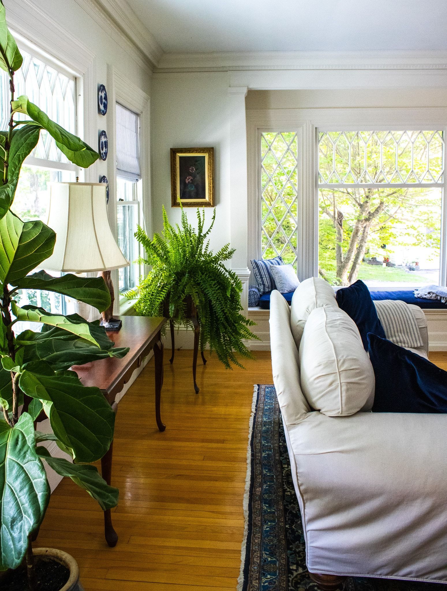 A living room with a couch and a potted plant