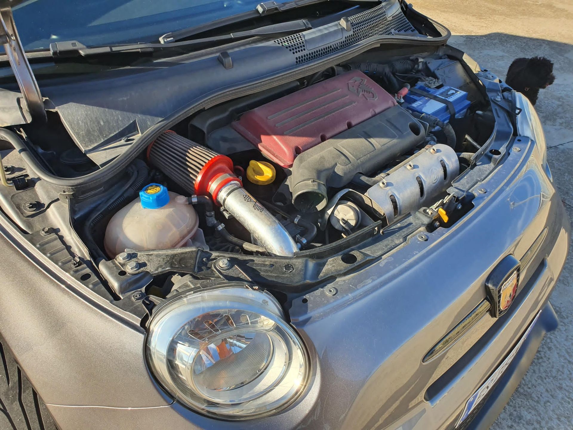 500 Abarth del 2013, €14.000.