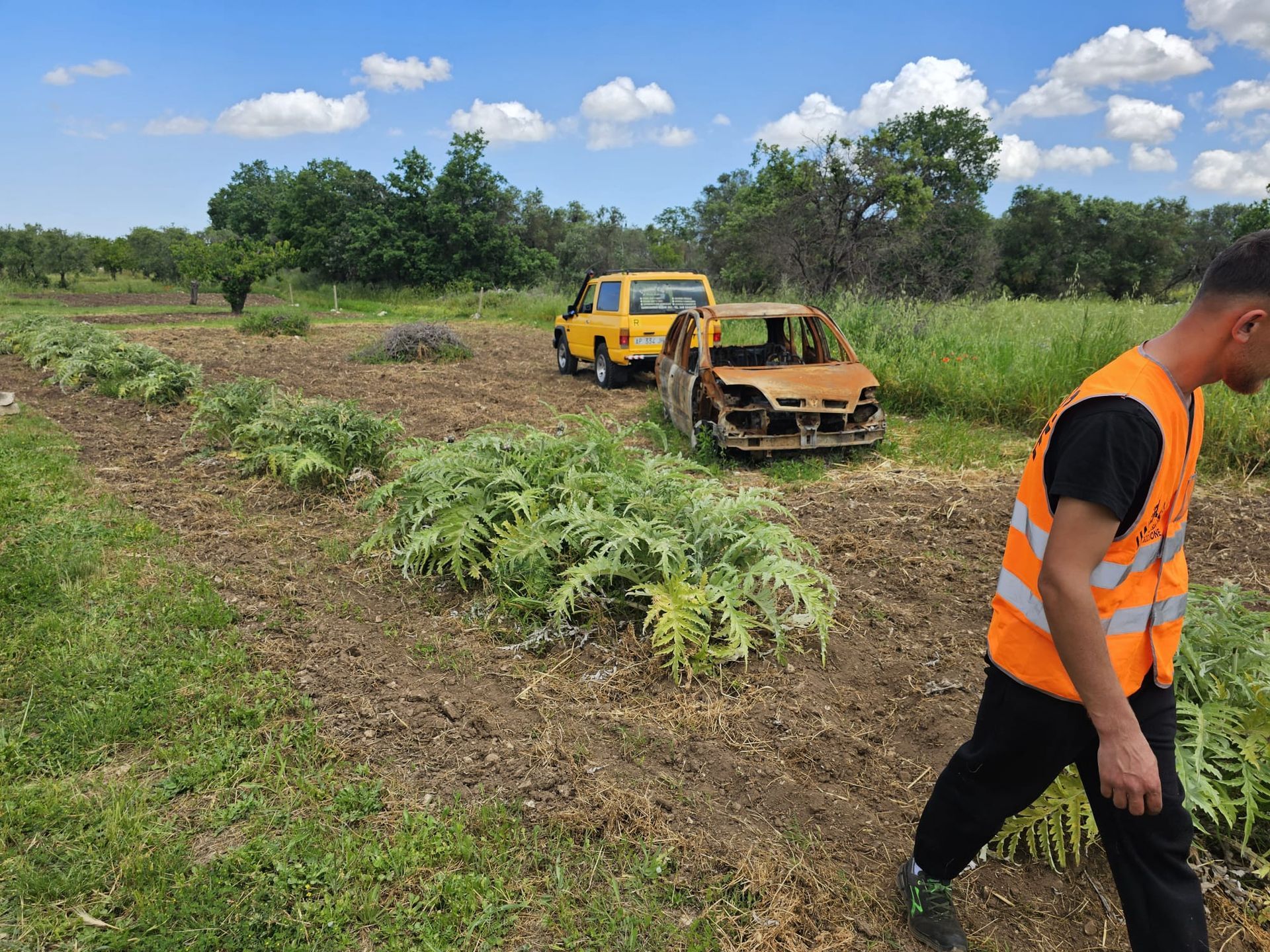 Una persona con un giubbotto arancione ad alta visibilità cammina vicino a un campo dove si trovano un'auto abbandonata e carbonizzata e un veicolo giallo.