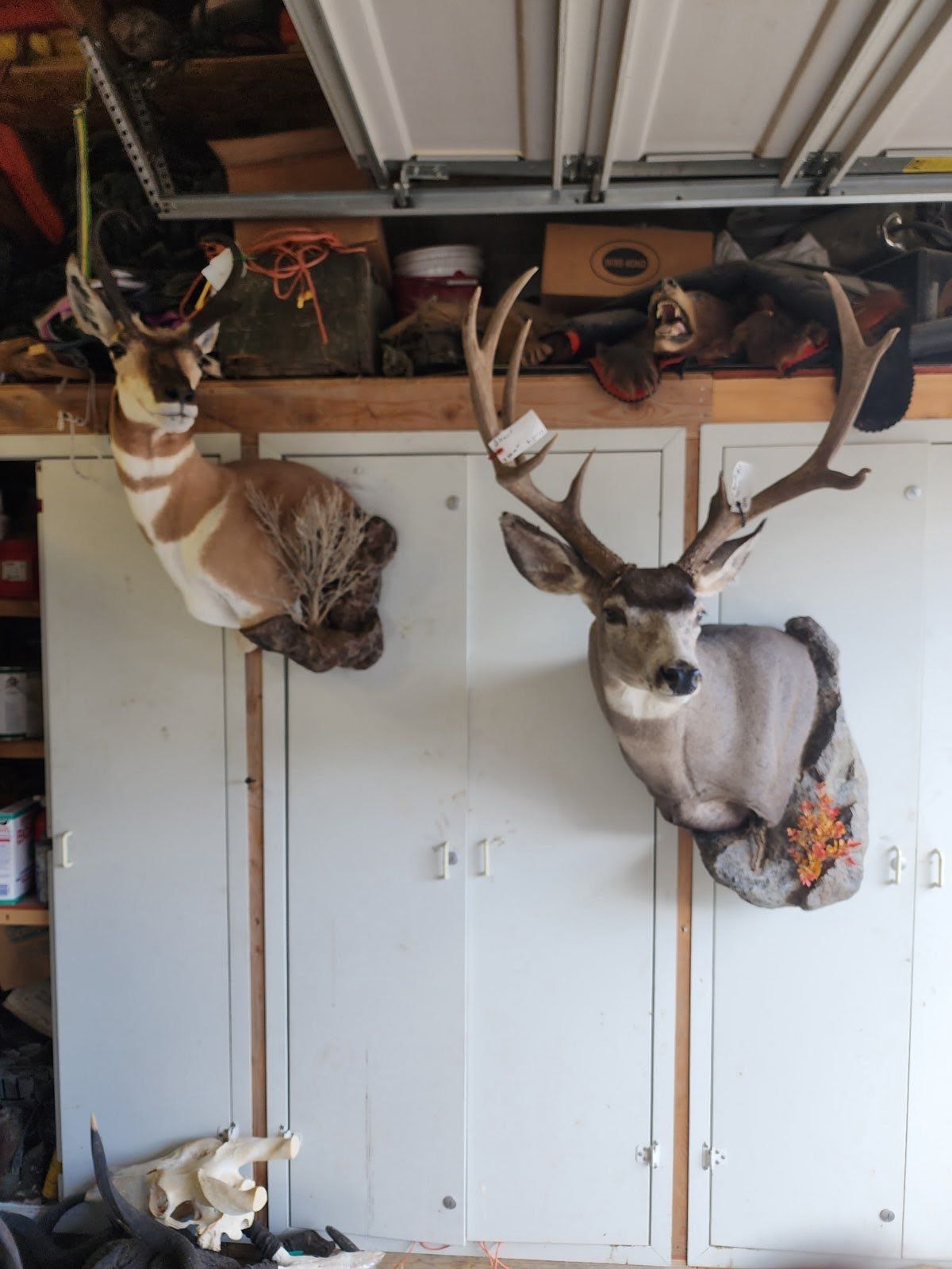 Mount Portfolio