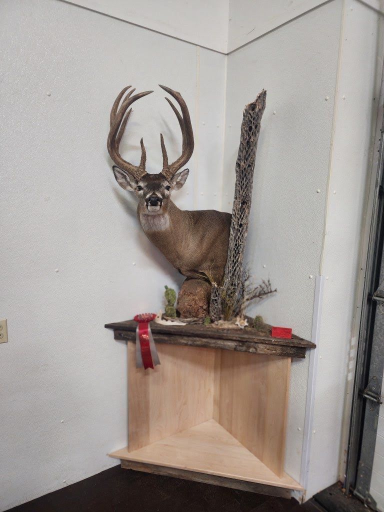 Mount Portfolio