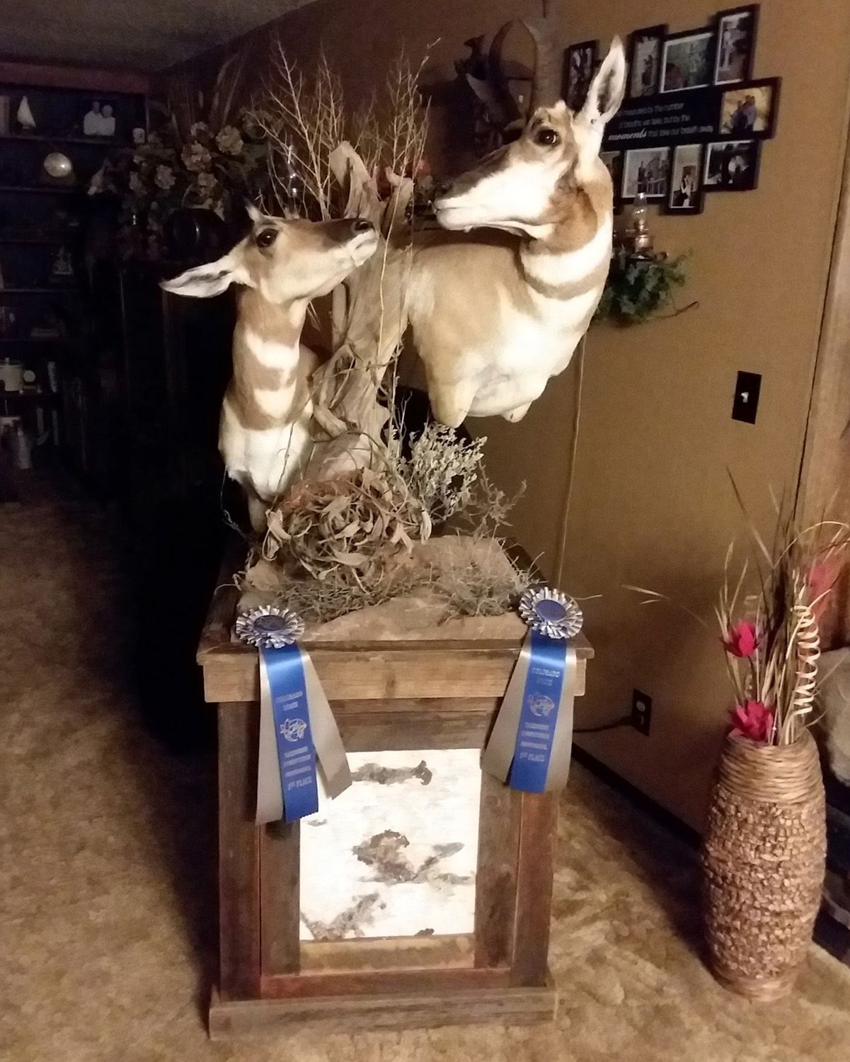 Mount Portfolio