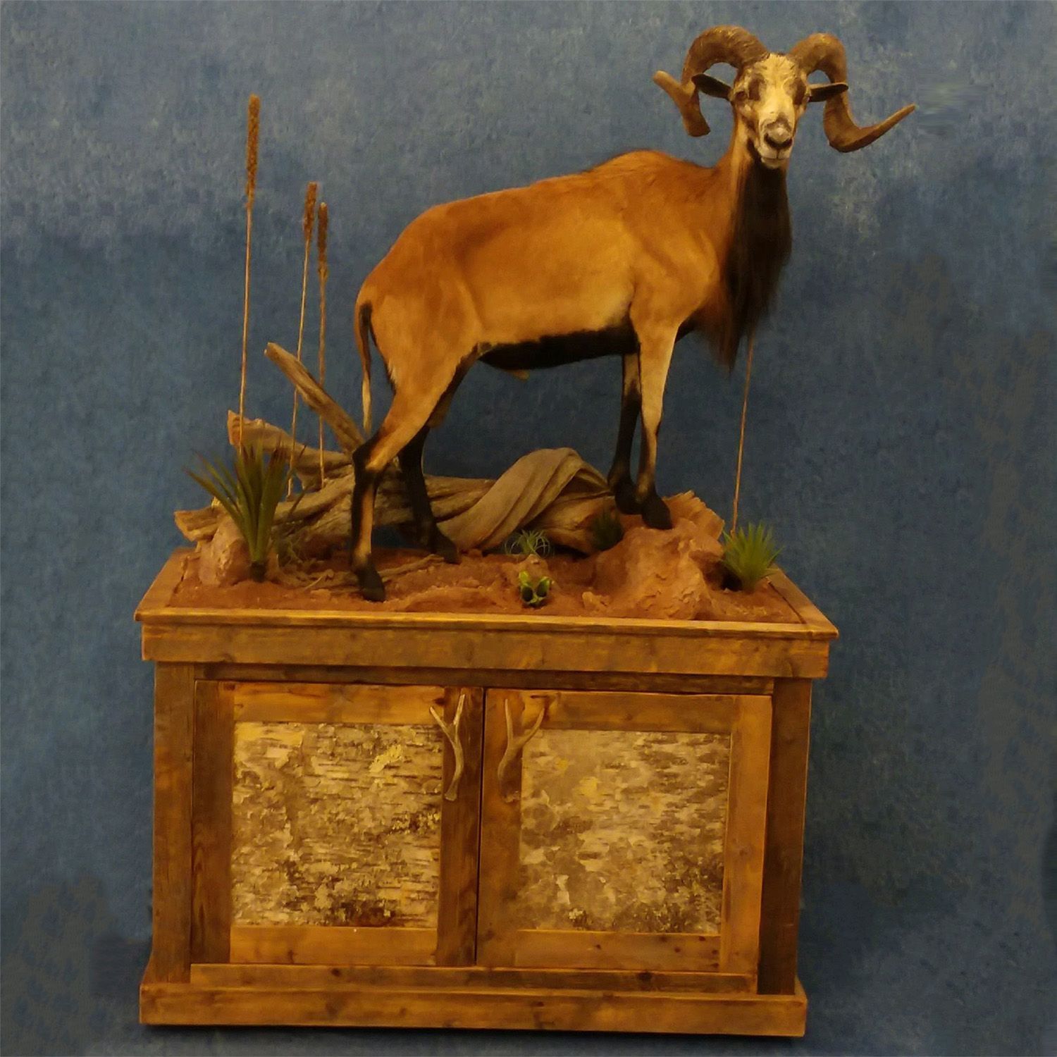 Mount Portfolio