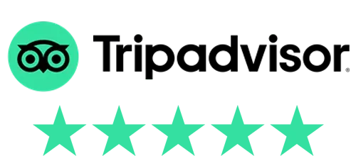 five star trip advisor magic show