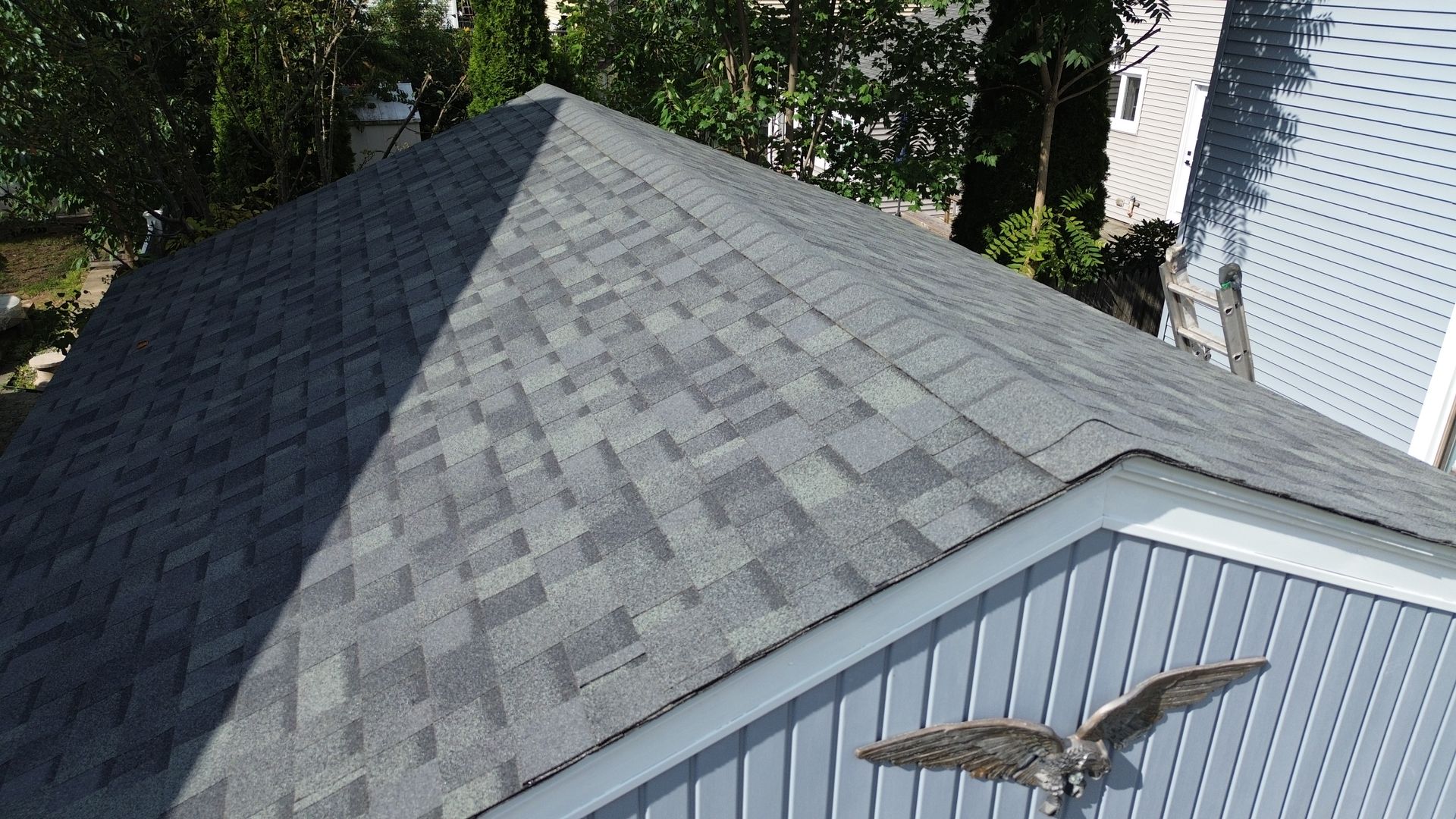 A bird is sitting on the side of a house next to a roof.