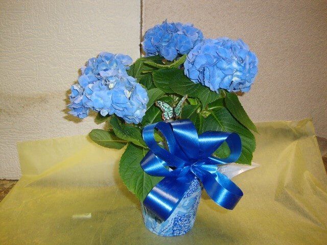 Flower Arrangement, Funeral & Cemetery Arrangements in Ballston Spa, NY