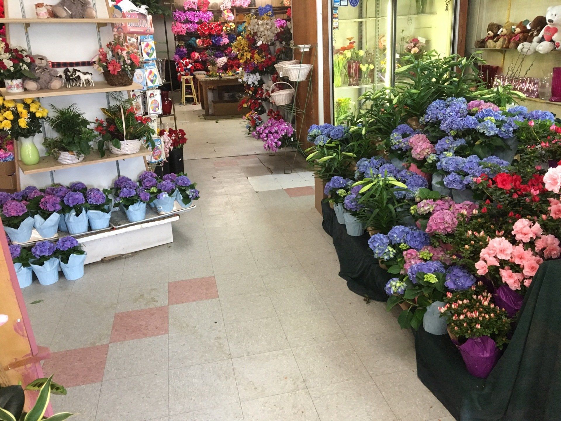 2. Exquisite Blooms At Flowers Ballston Spa NY