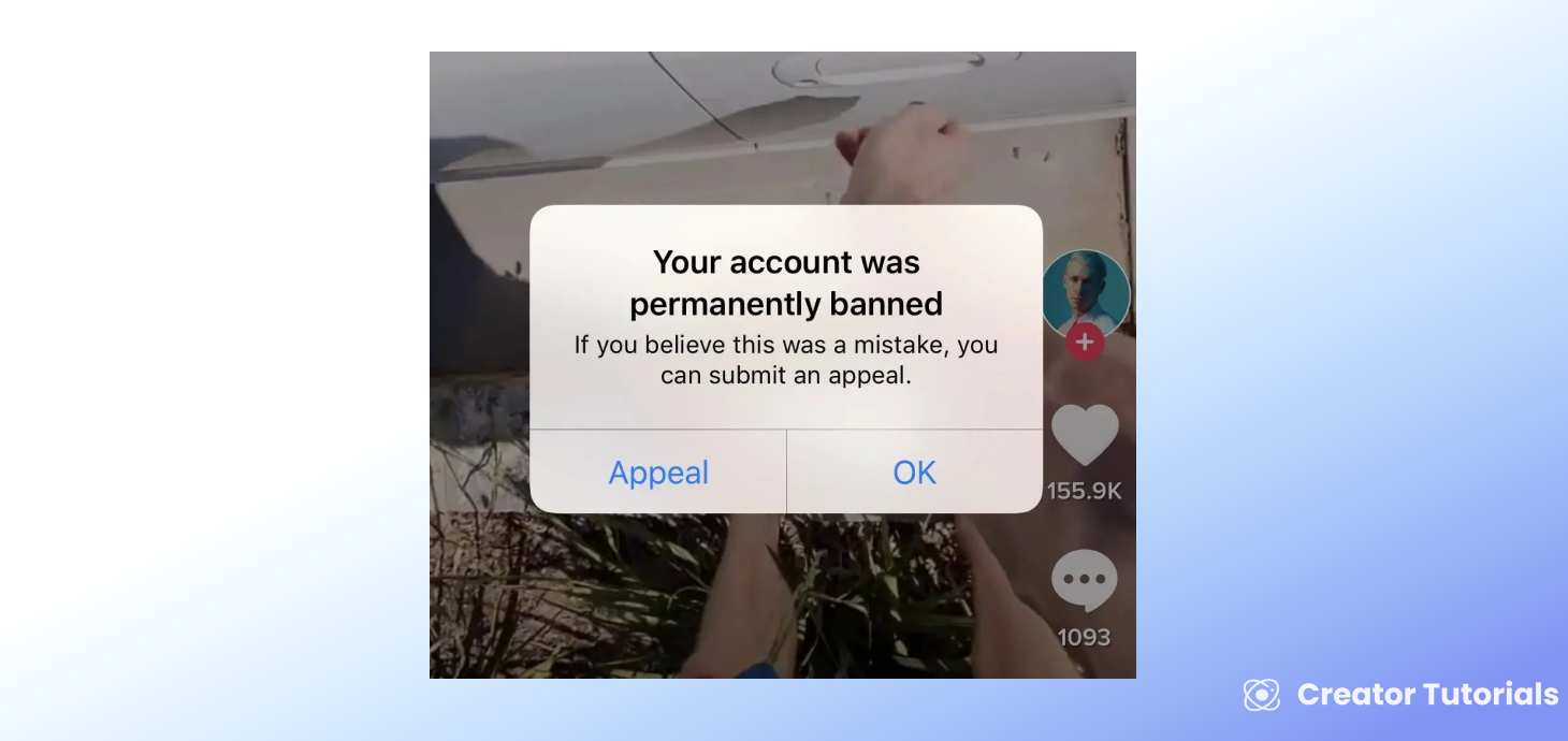 TikTok Permanently Banned